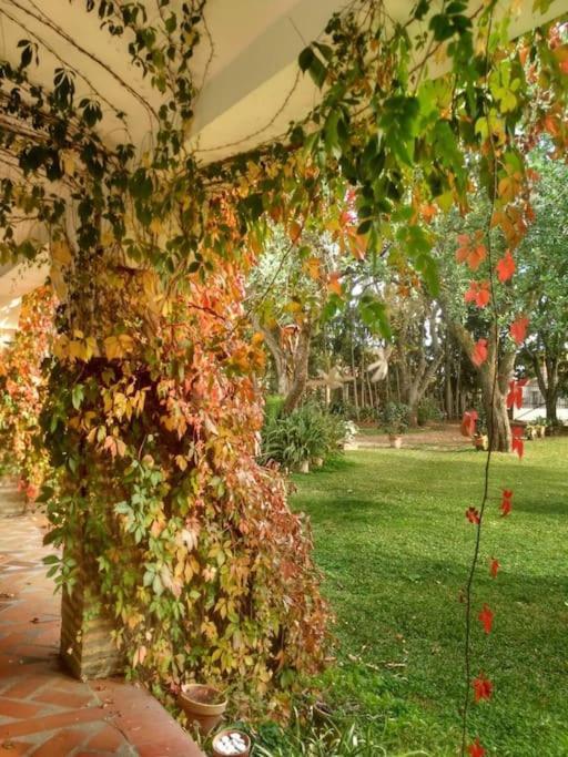 El Jardin Del Botanico *