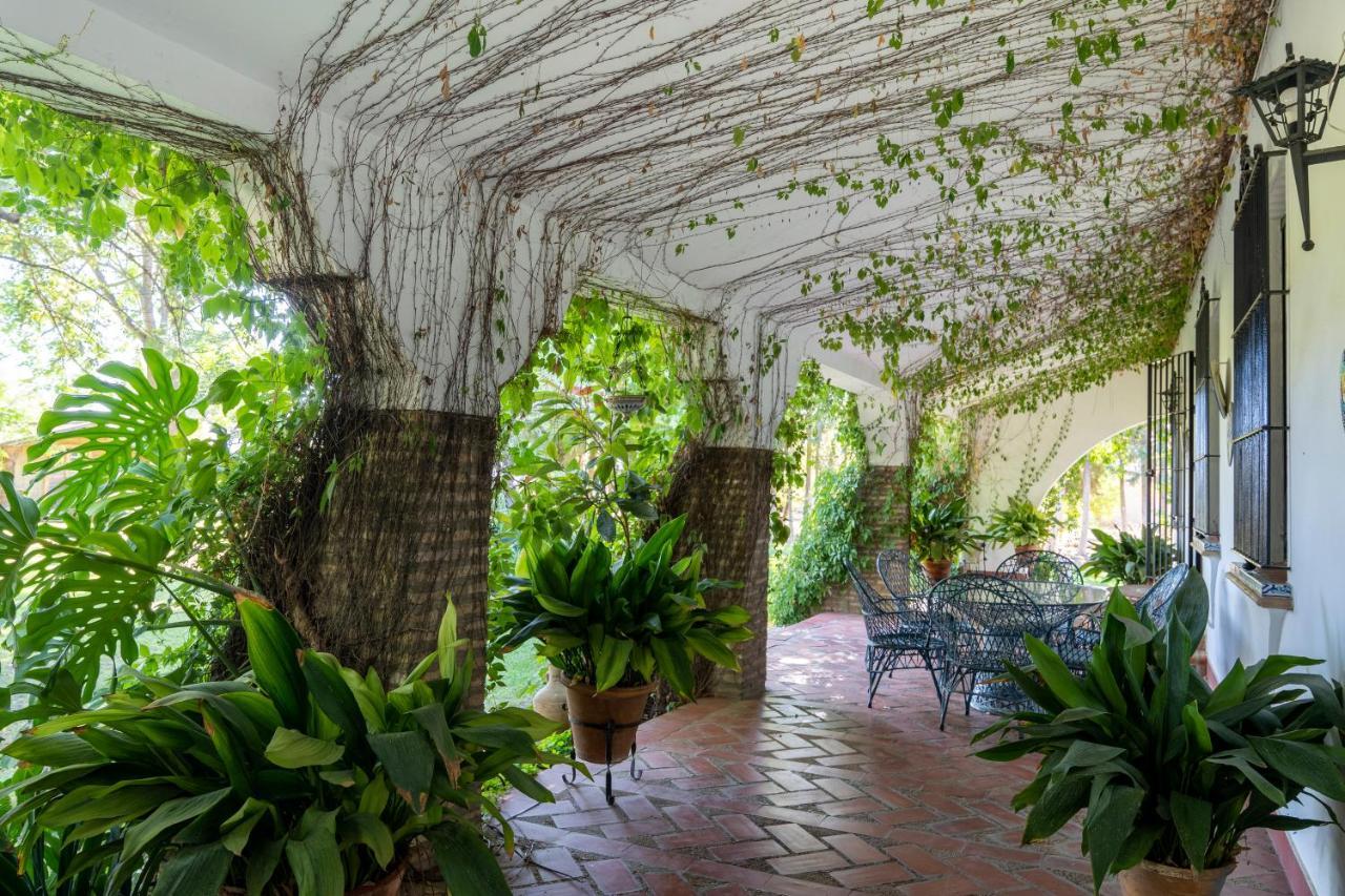El Jardin Del Botanico